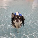 놀로 아쿠아센터 이미지