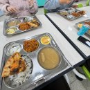 연서 동물병원 | 20251231