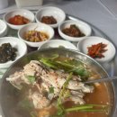 한려식당 | 통영 매운탕 맛집 추천 ‘한려곰장어’ 내돈내산 후기