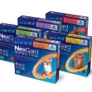 해오름 동물병원 이미지