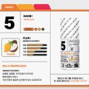 뉴턴전자담배