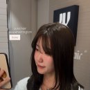 해링턴헤어