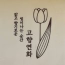 부산 기장 맛집 전복리조또 후토마키 연화리 고향연화