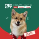 유기견 입양.. 장벽이 높다고? 입양제부터 와보는건 어때‼️ 12/21 행유세 입양제💚 이미지