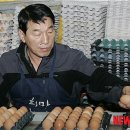 박오주농장 이미지