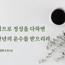 백십자