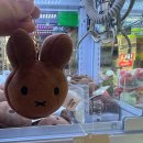 와우 뽑기방 이미지