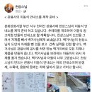 서구관광안내소 이미지