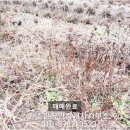 두실농장 이미지