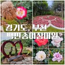도당애견 이미지