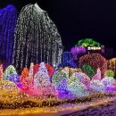 [울산출발] 1월24일(토)~25일(일) 겨울왕국 한탄강 주상절리길 + 동화나라 남이섬 꽉찬 1박2일 여행 이미지