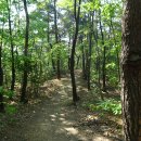 한티가는길 이미지