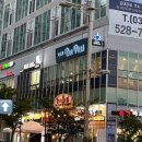 댕댕이 커트방 이미지