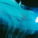 자동차세차 이미지