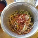 248갈매기