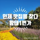 황태1번가 이미지