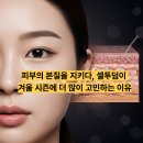 피부의 본질을 지키다, 셀투덤이 겨울 시즌에 더 많이 고민하는 이유