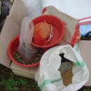 초지농장 이미지