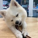 더리얼푸릇 이미지