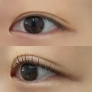 브리지데이 | 익산 동산동 속눈썹 펌 추천 브리지데이 후기