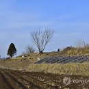 (주)미래토건 네이버블로그