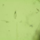 반송동물병원 이미지