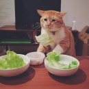 장염후기+번외