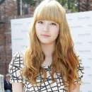 아벨로헤어 이미지