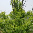 한그루공인중개사사무소 이미지