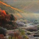 (얼레빗 제4871호) 내일, 천지에 가을바람만 가득한 상강 이미지