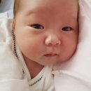 웰 여성의원 이미지