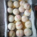 오향4리 이미지