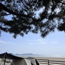 꿈꾸는 소나무민박 | 태안 바다뷰 캠핑장 꿈꾸는바다 : 소나무존 후기/장단점 리뷰