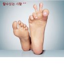 영덕초 이미지