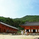 진전사 - 1374 | 진전사