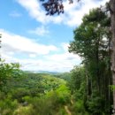 장지약수터 이미지