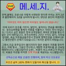 전영 농장 | 호주워킹홀리데이 지금 가? 말어?