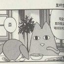 치요가 이미지