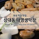 대전 유성 막창, 상대동 태영생막창 역시 존맛