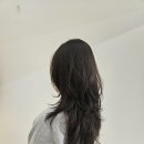 헤어셋틀러 이미지