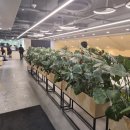 러시아 피아노 듀오 내한공연 | [공연관람] Tony Ann 토니앤 내한공연 후기