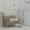 댕댕아띠 이미지