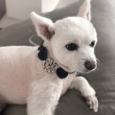 부산종합동물병원 이미지