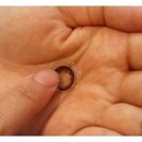 한국콘택트렌즈안경원 이미지