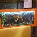 피자스쿨구리주공점 이미지