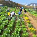 기흥농장 이미지