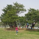 중앙탑공원 이미지