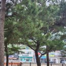 남해여행) 은모래비치 오토캠핑장2박3일