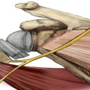 여수백병원 이미지