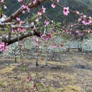 월악산민박 이미지